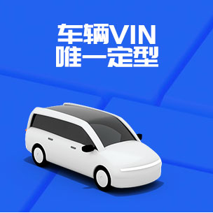 车辆VIN唯一定型