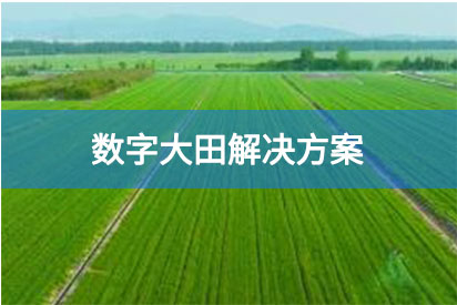 数字大田