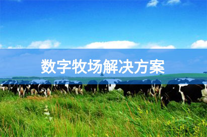 数字牧场
