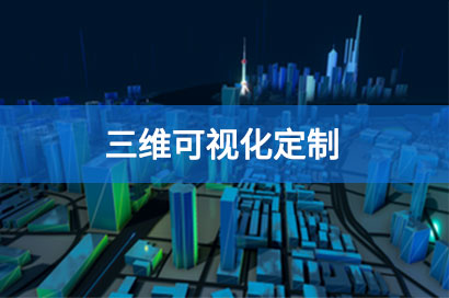 三维可视化定制